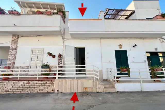 insertion image