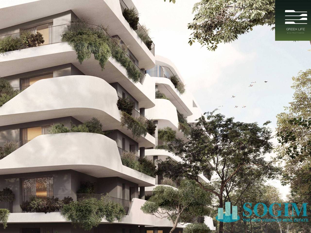 immagine annuncio 3 di 9