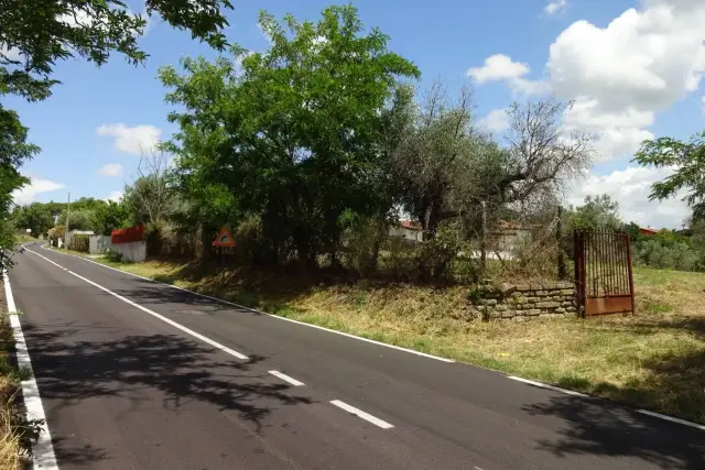 Terreno agricolo in Via Sacrofano-Cassia, Sacrofano - Foto 1