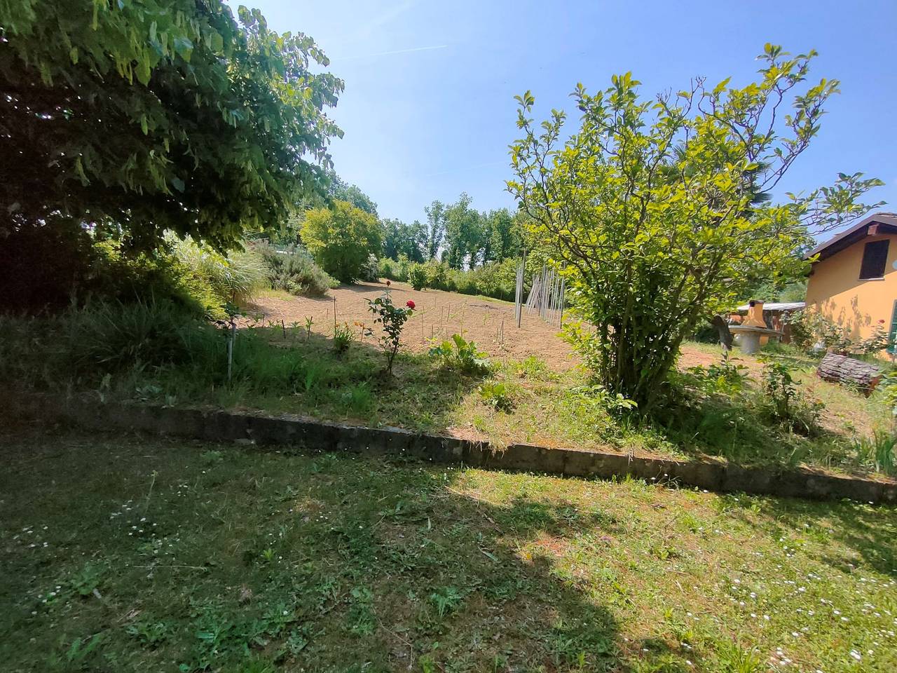 immagine annuncio 6 di 15