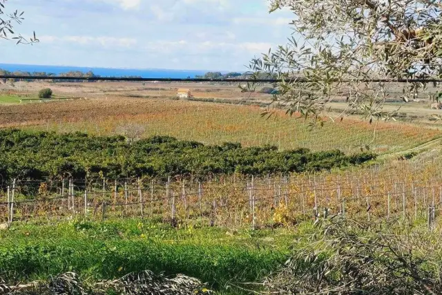 Terreno agricolo in Contrada Maragani , Sciacca - Foto 1