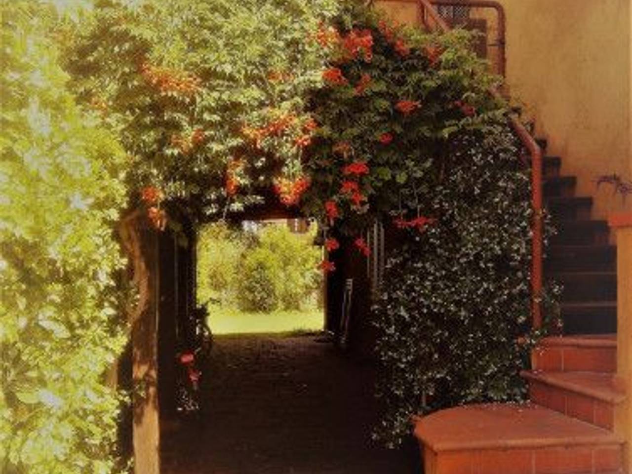 immagine annuncio 11 di 14