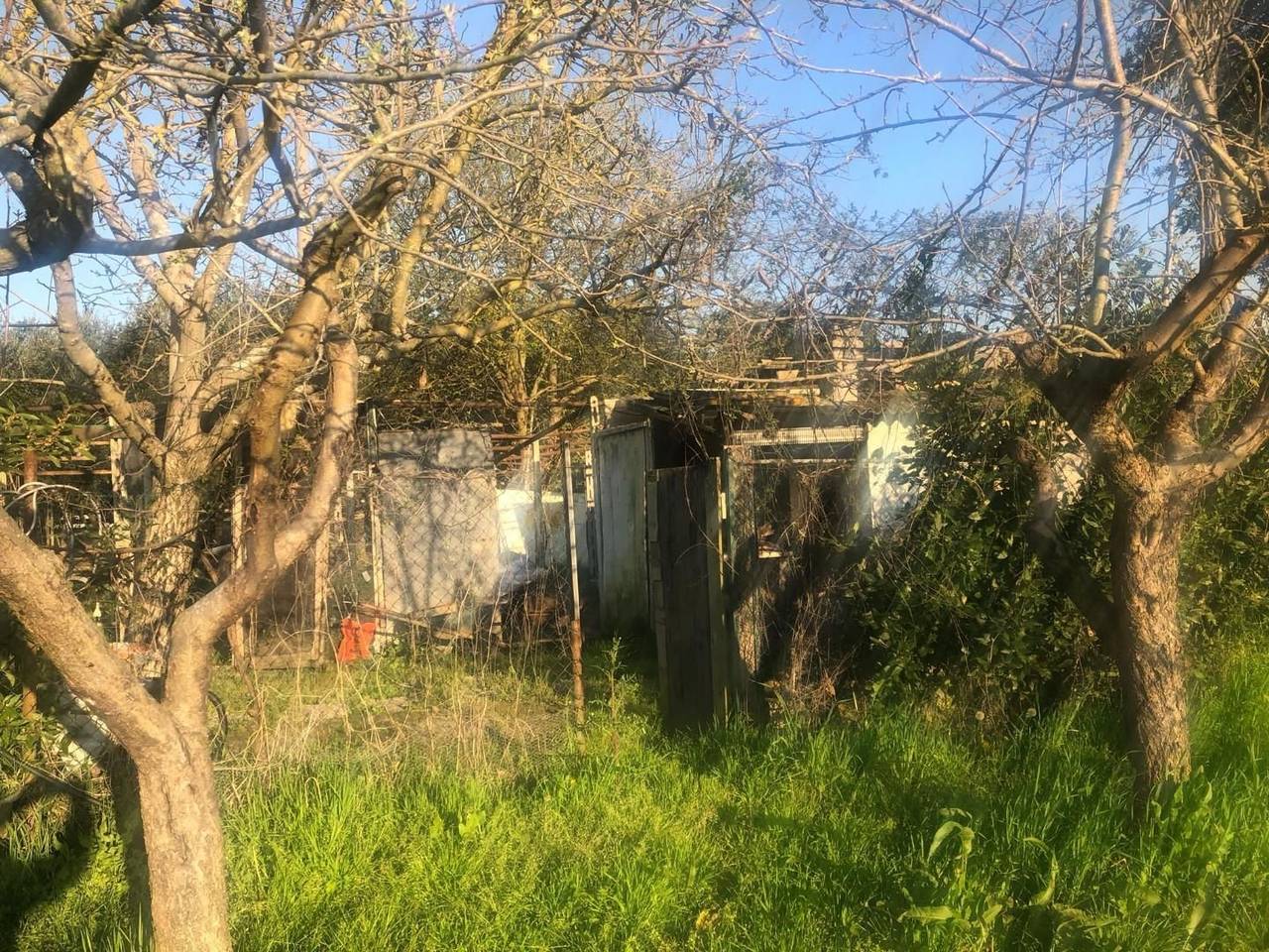 immagine annuncio 5 di 7