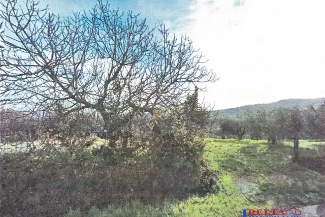 Terreno agricolo, Rosignano Marittimo - Foto 1