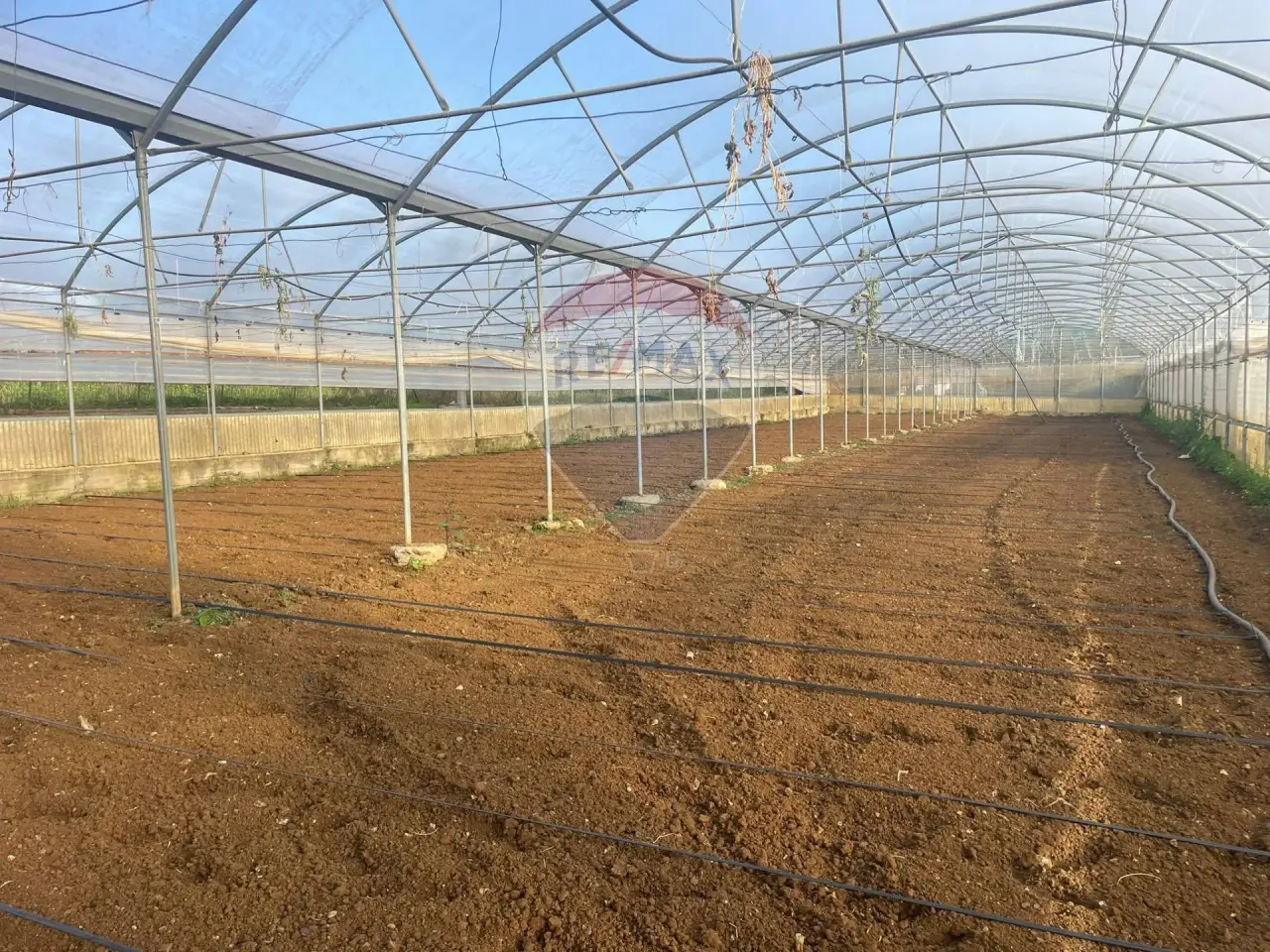 Azienda agricola in Parrini, Partinico, {3} - Foto 1