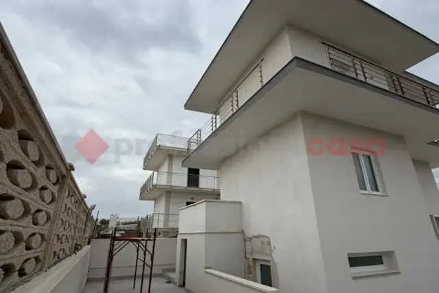 insertion image