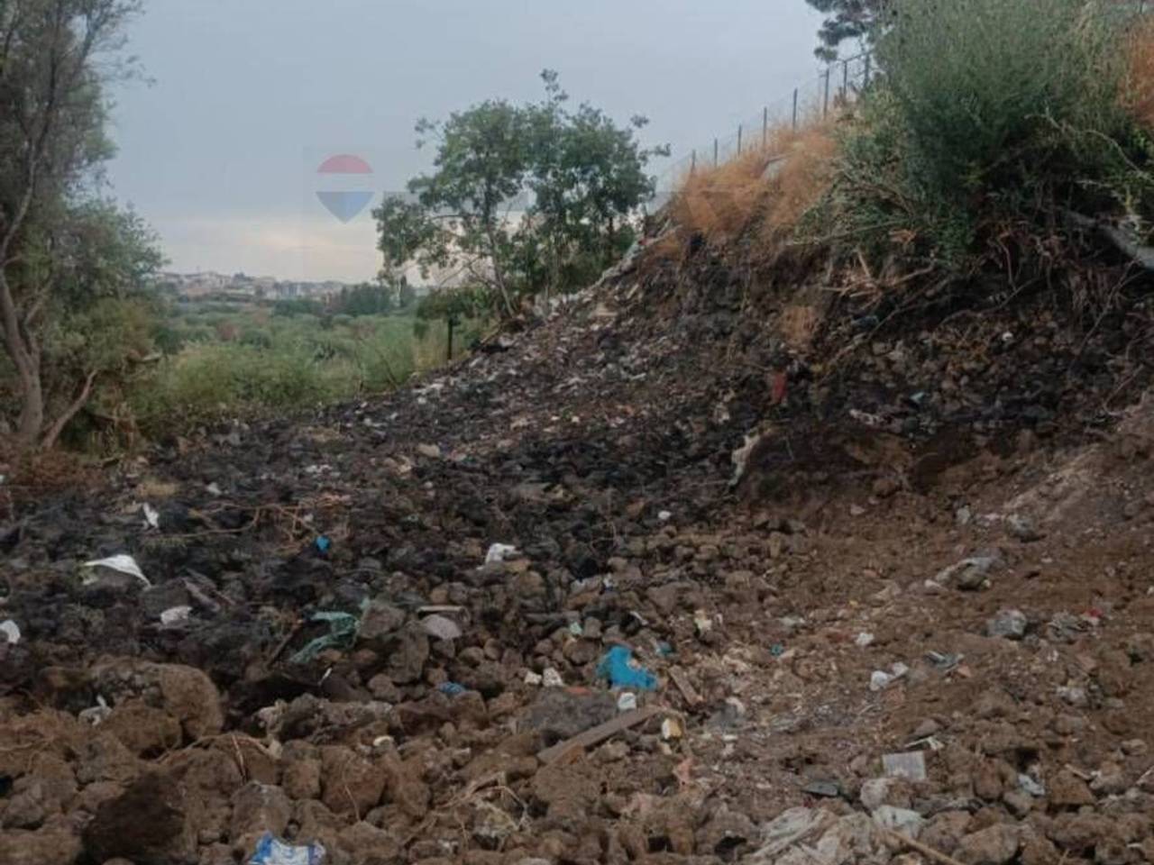 immagine annuncio 8 di 11