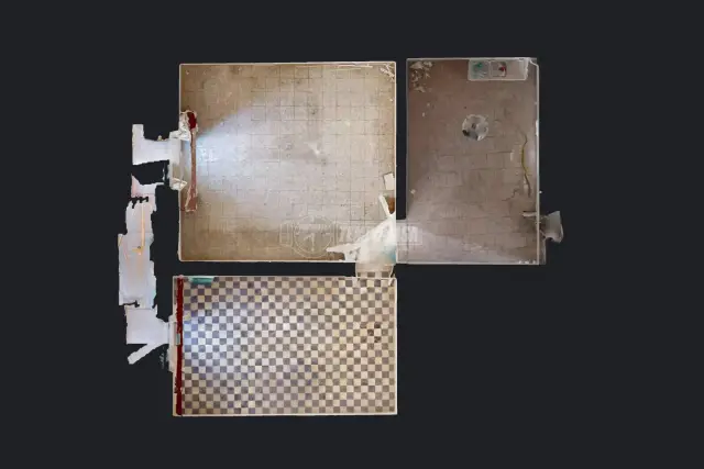 insertion image