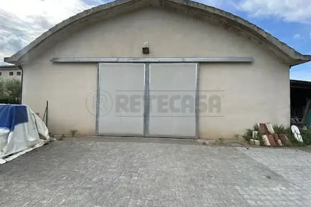 insertion image