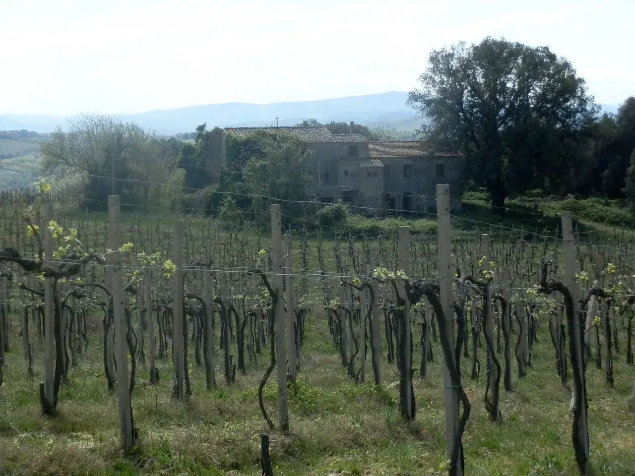 Azienda agricola in , San Gimignano, {3} - Foto 2