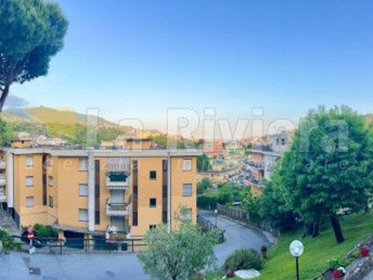 immagine annuncio 13 di 14