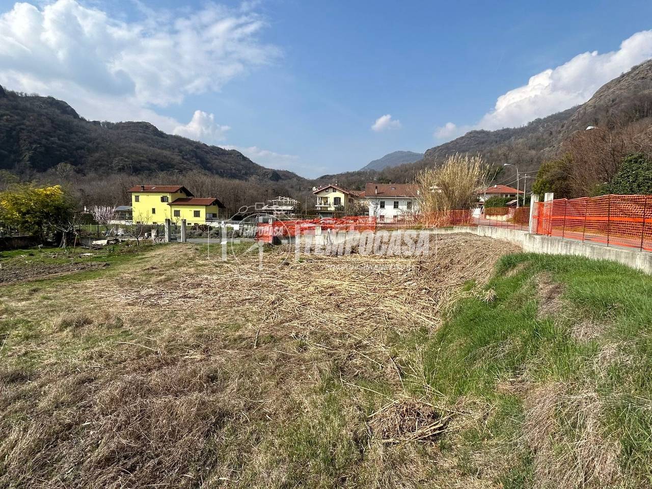 immagine annuncio 2 di 14