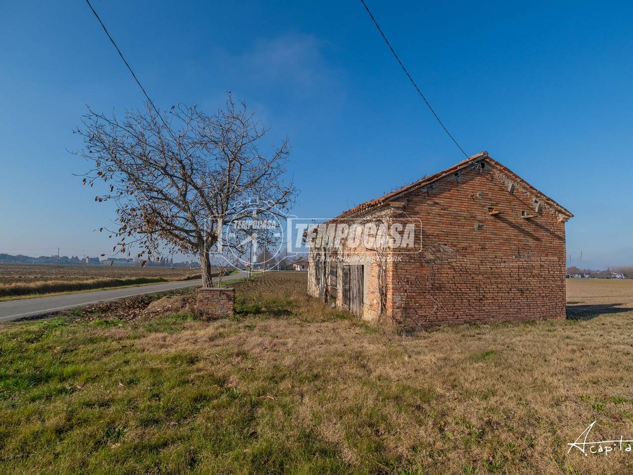 immagine annuncio 5 di 12