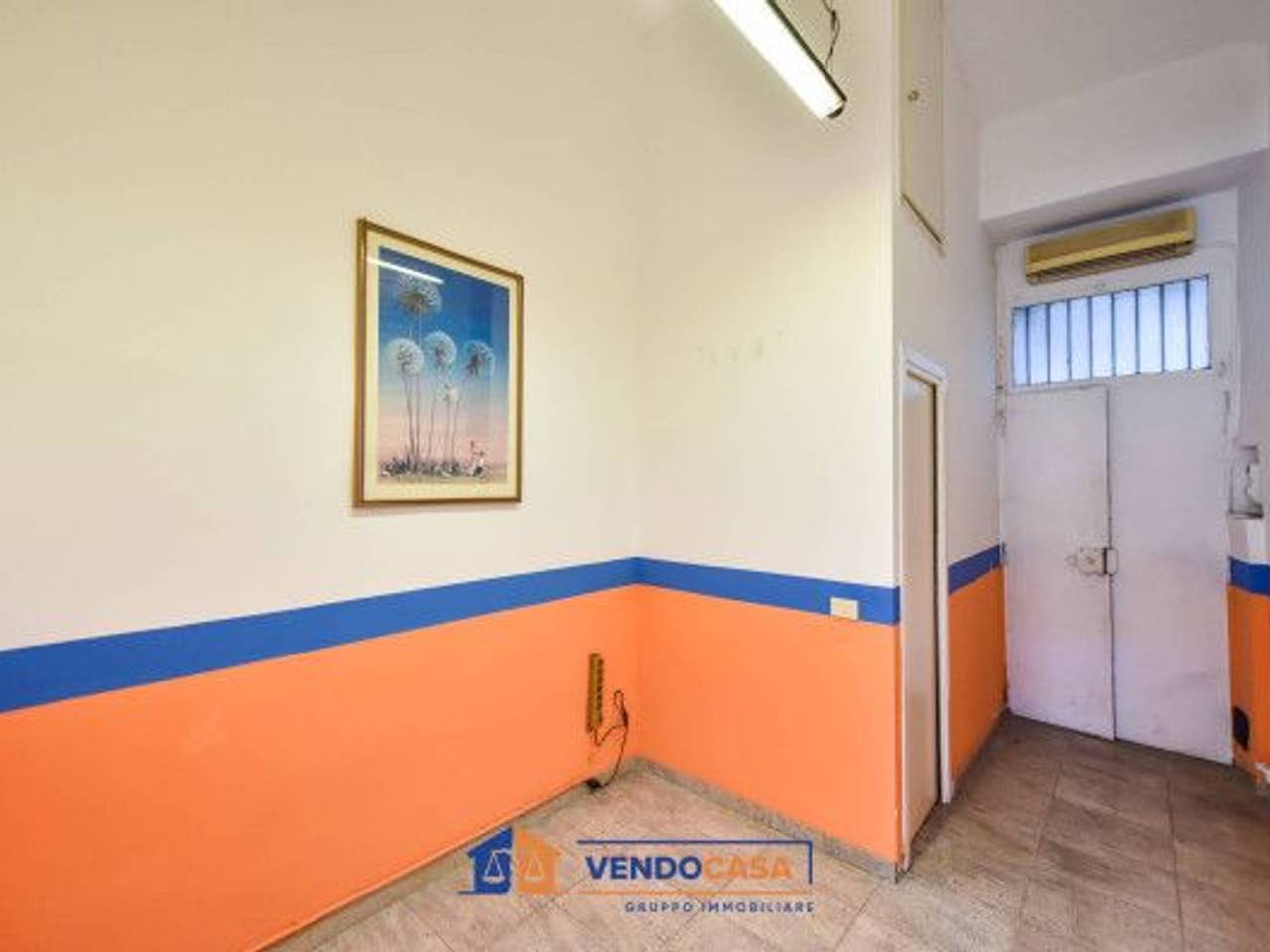 immagine annuncio 7 di 14