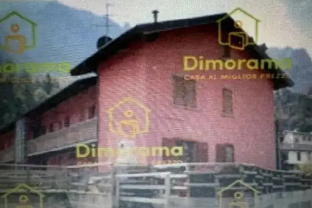 insertion image