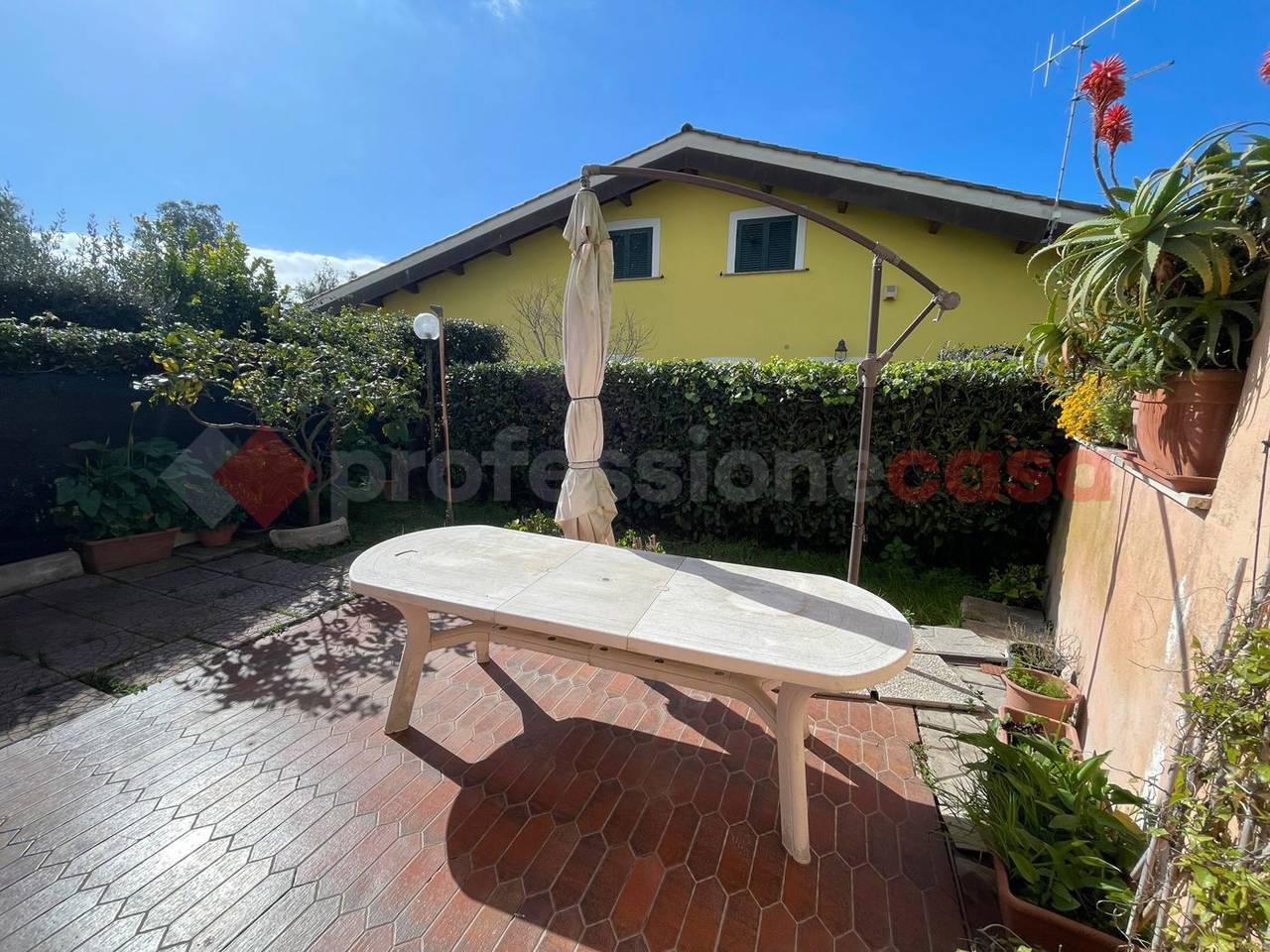 immagine annuncio 5 di 14