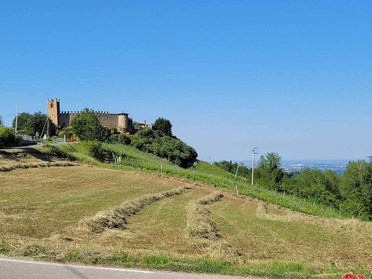 immagine annuncio 3 di 11