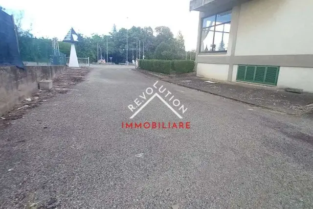 insertion image