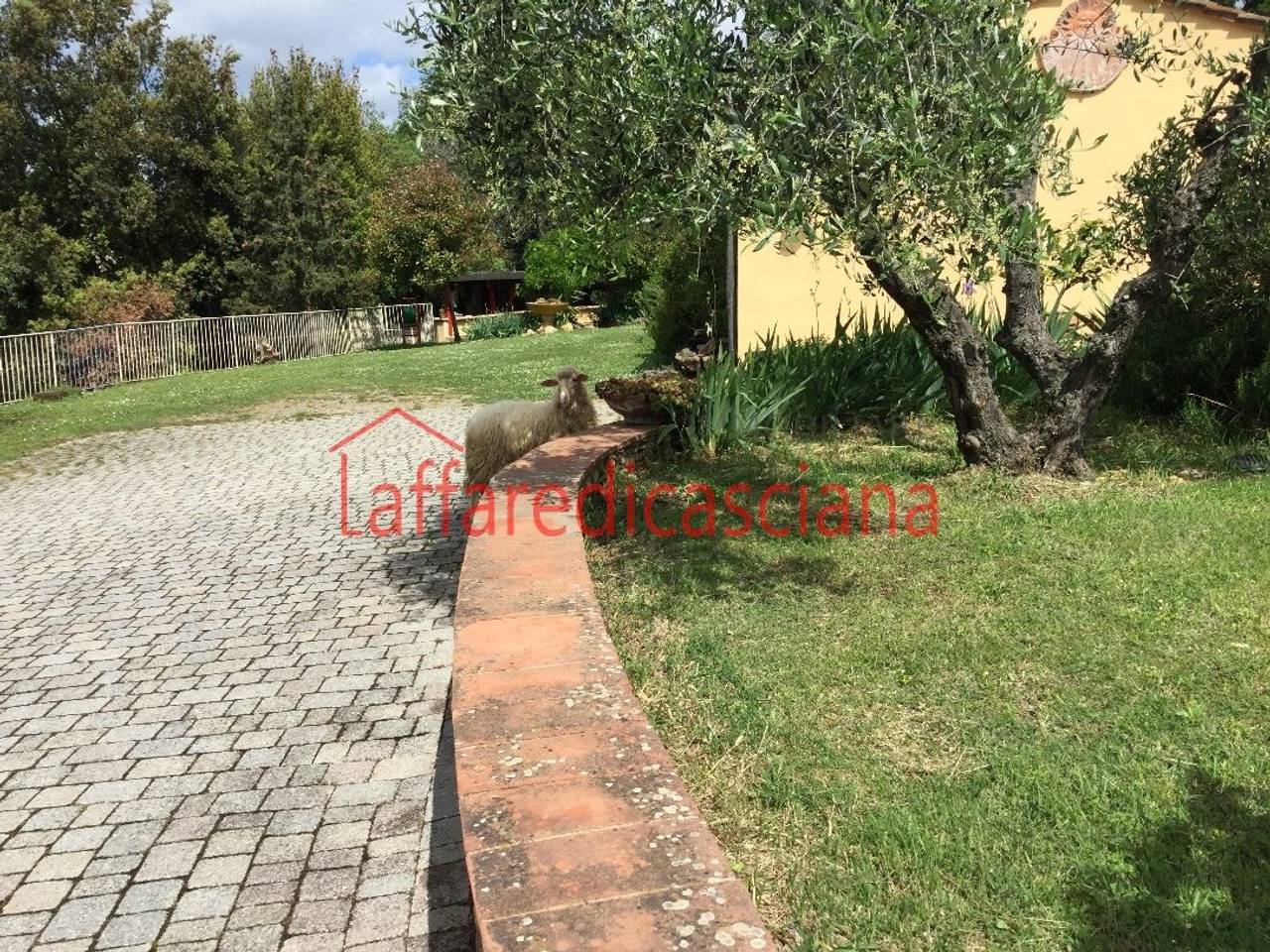 immagine annuncio 4 di 15