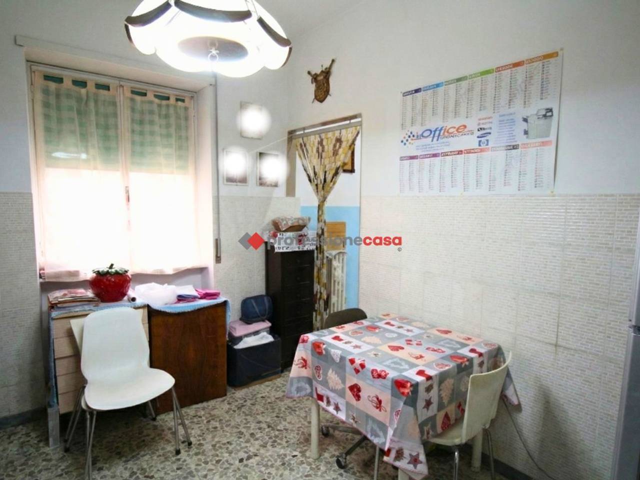 immagine annuncio 3 di 13