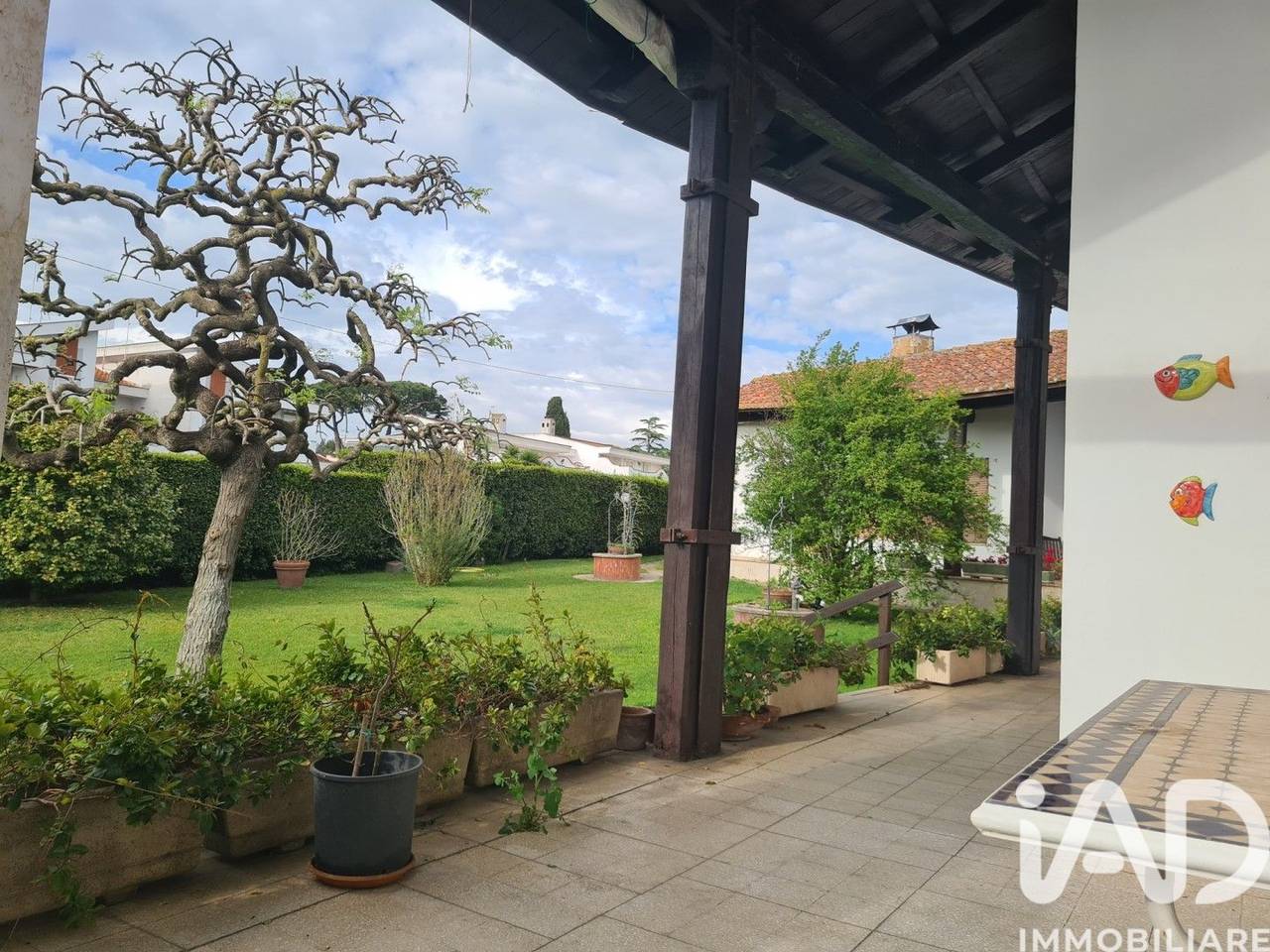 immagine annuncio 4 di 15