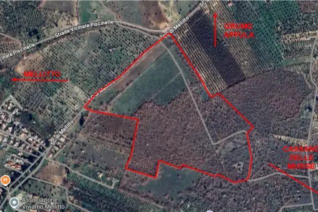 insertion image