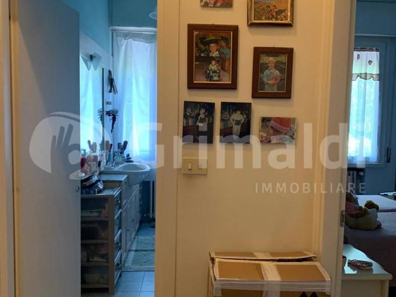 immagine annuncio 5 di 12