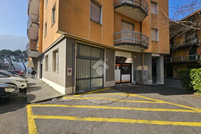 insertion image