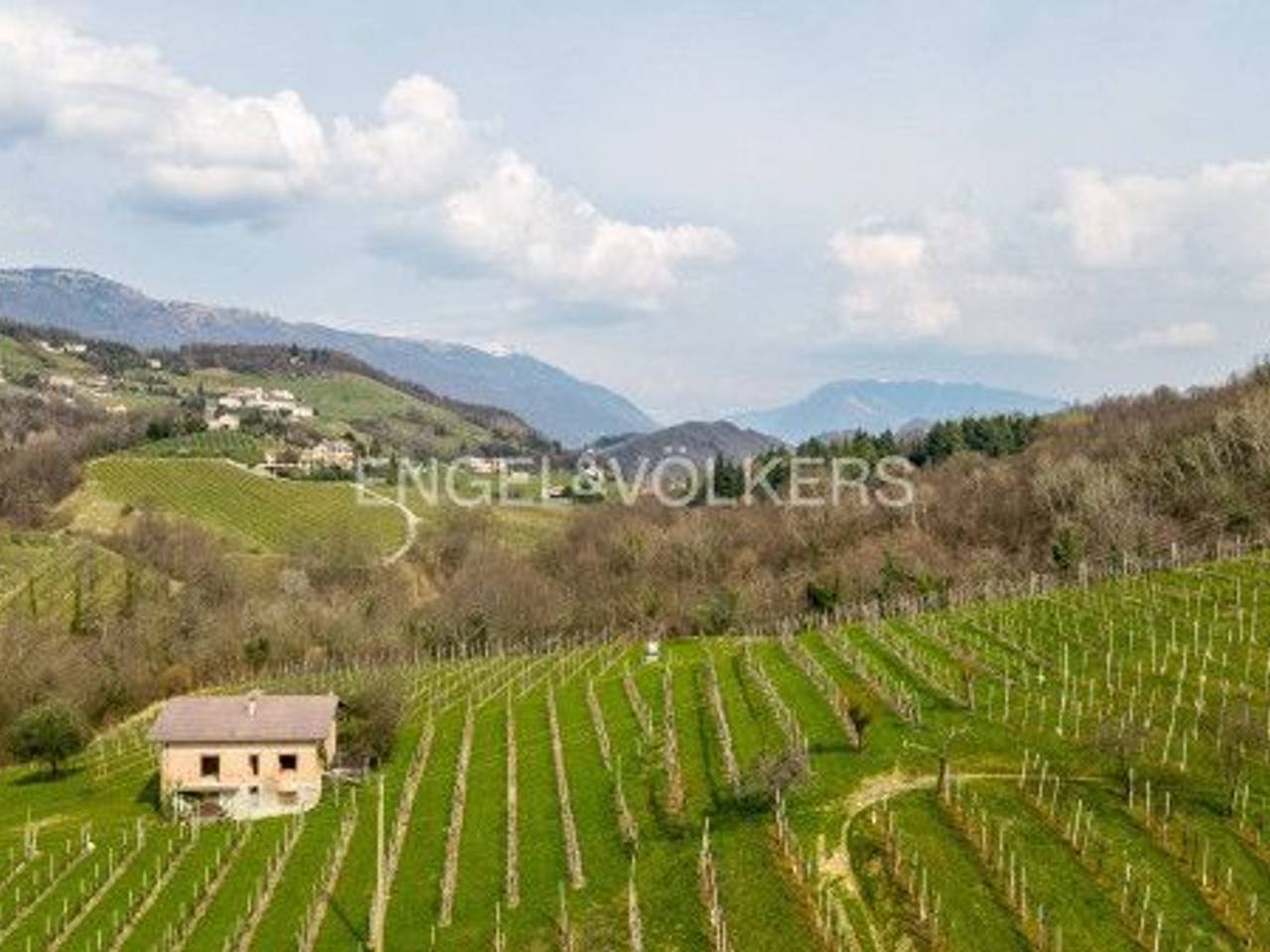 immagine annuncio 4 di 8