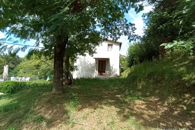 insertion image