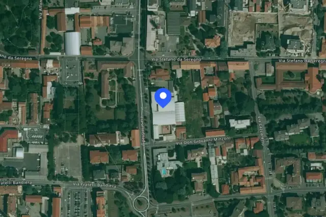 insertion image
