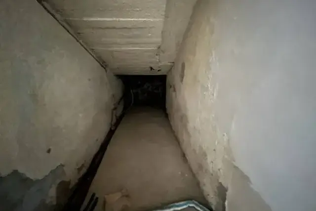 insertion image