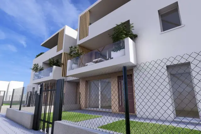 insertion image