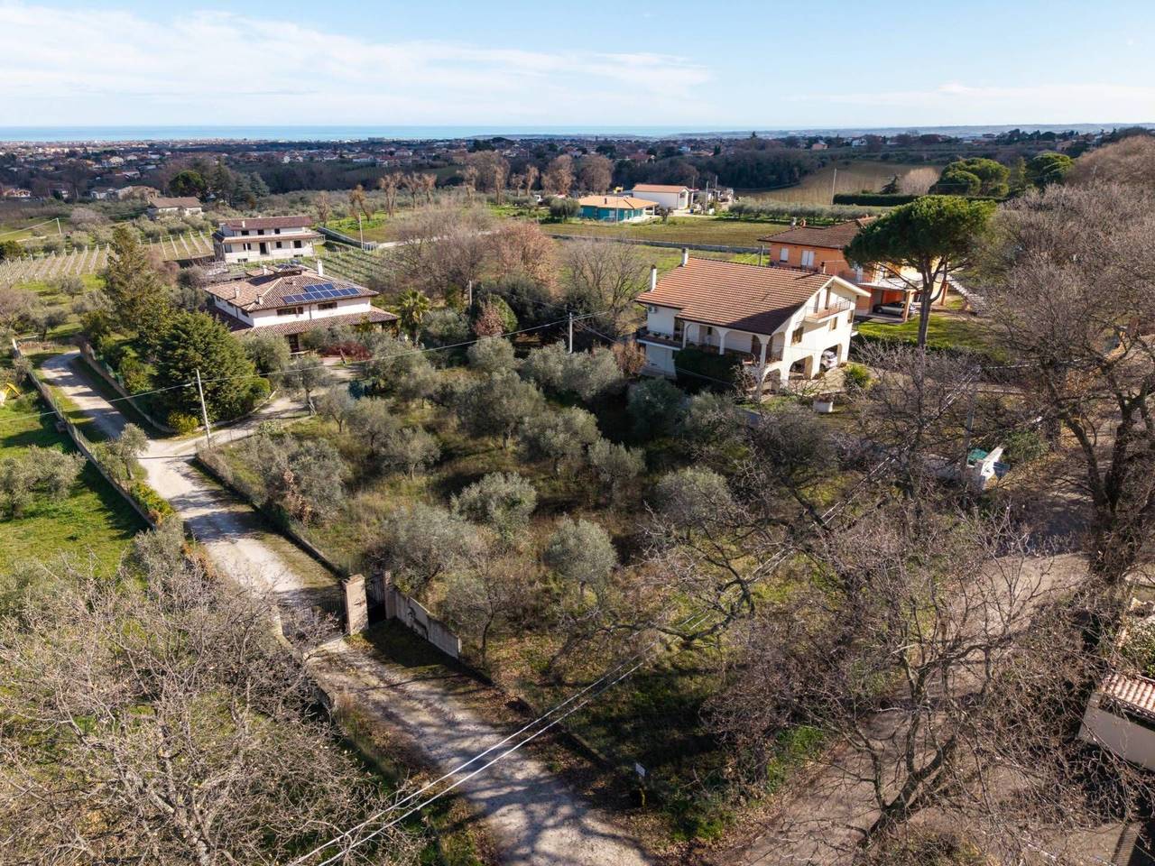 immagine annuncio 2 di 8