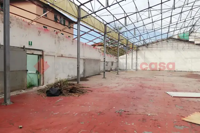 insertion image
