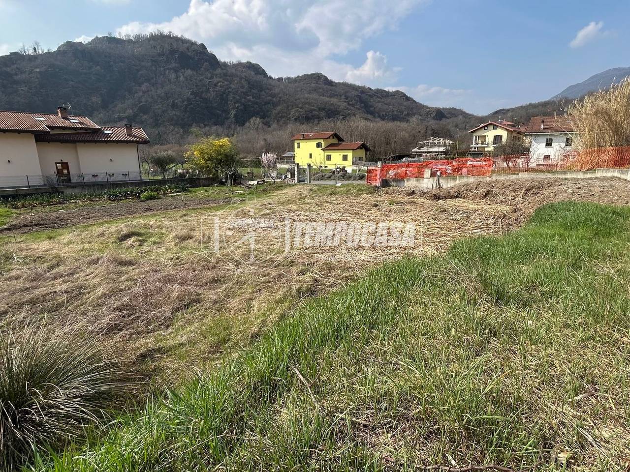 immagine annuncio 4 di 14