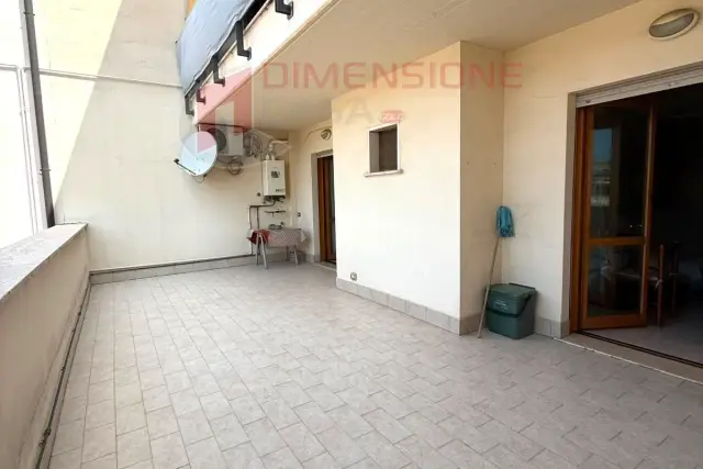 insertion image