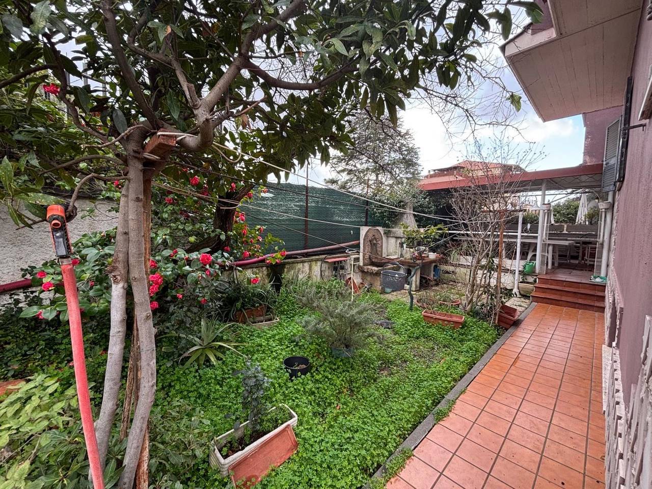 immagine annuncio 5 di 7