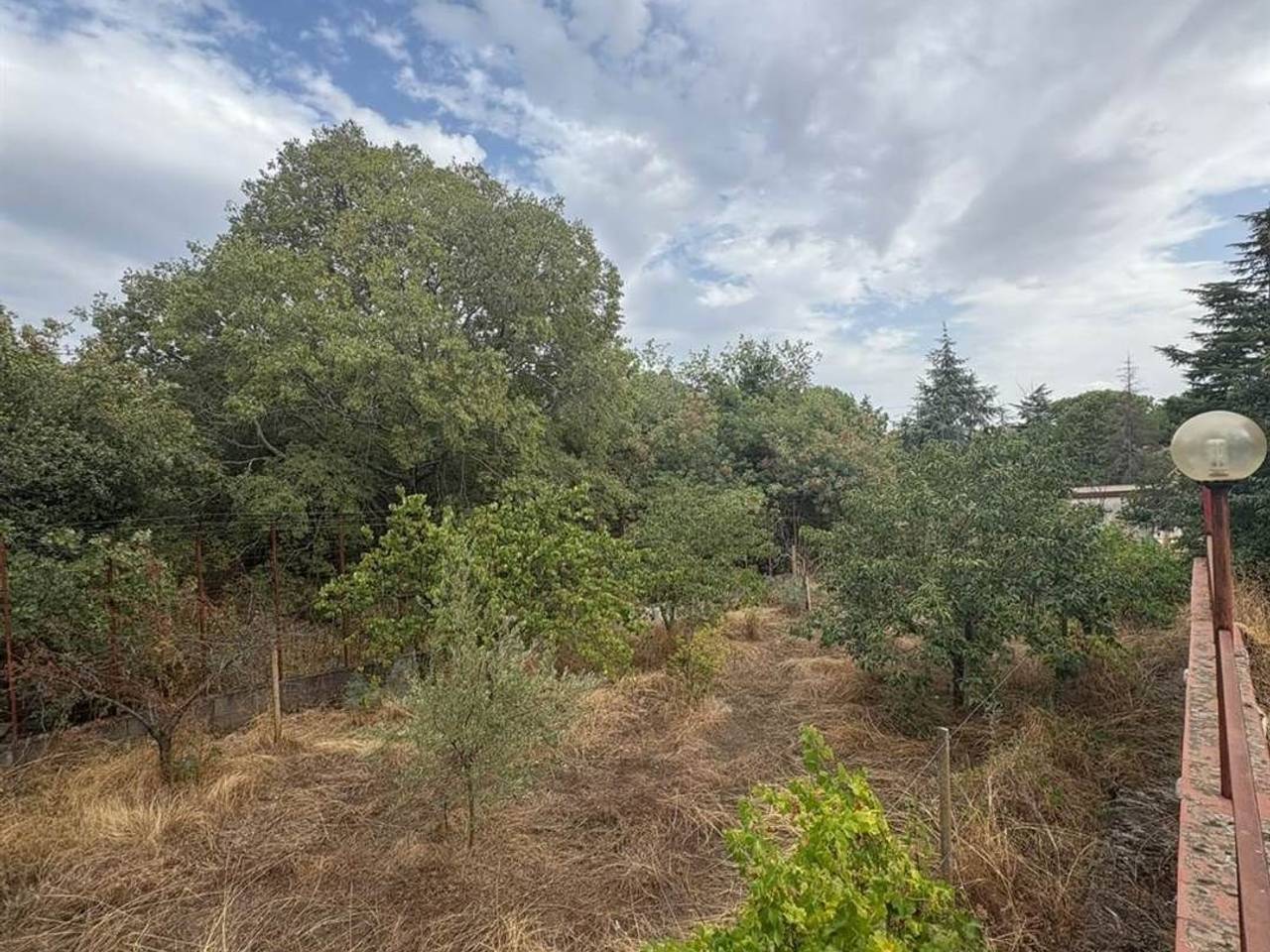 immagine annuncio 10 di 12