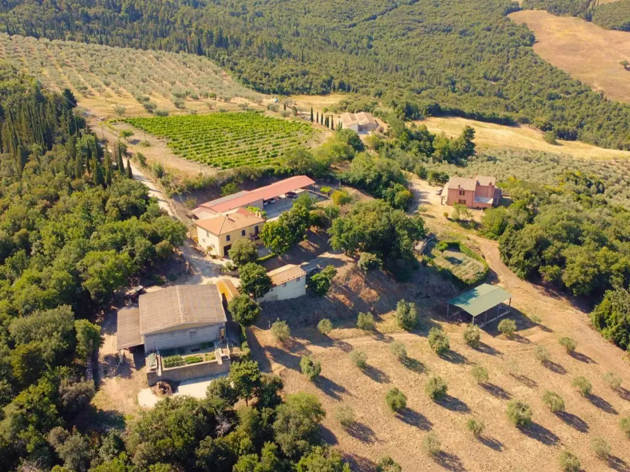 Azienda agricola in Case Sparse Fosse, Castiglione D'Orcia, {3} - Foto 1