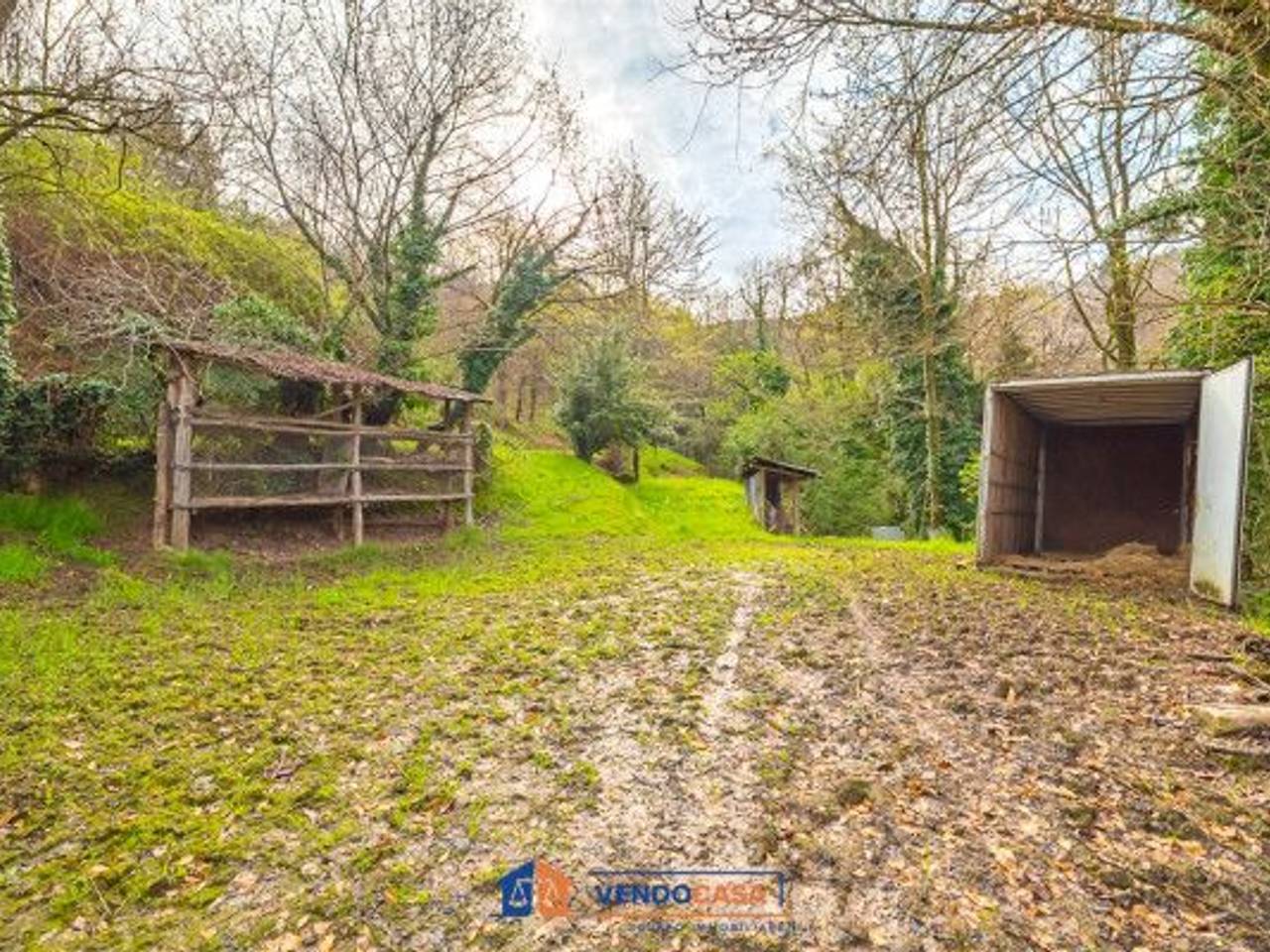 immagine annuncio 7 di 11