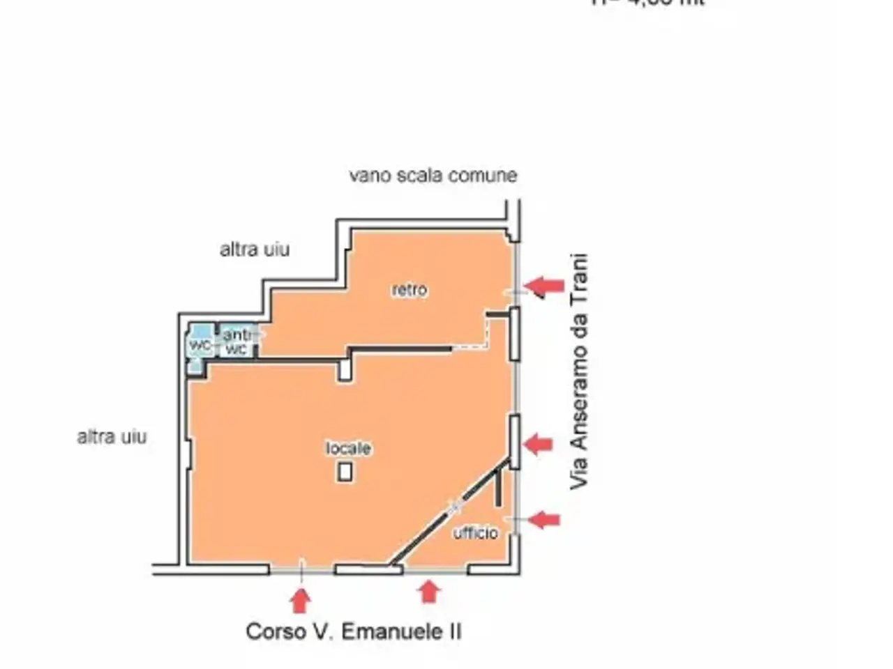 Negozio in Corso Vittorio Emanuele II, Trani, {3} - Planimetria 1