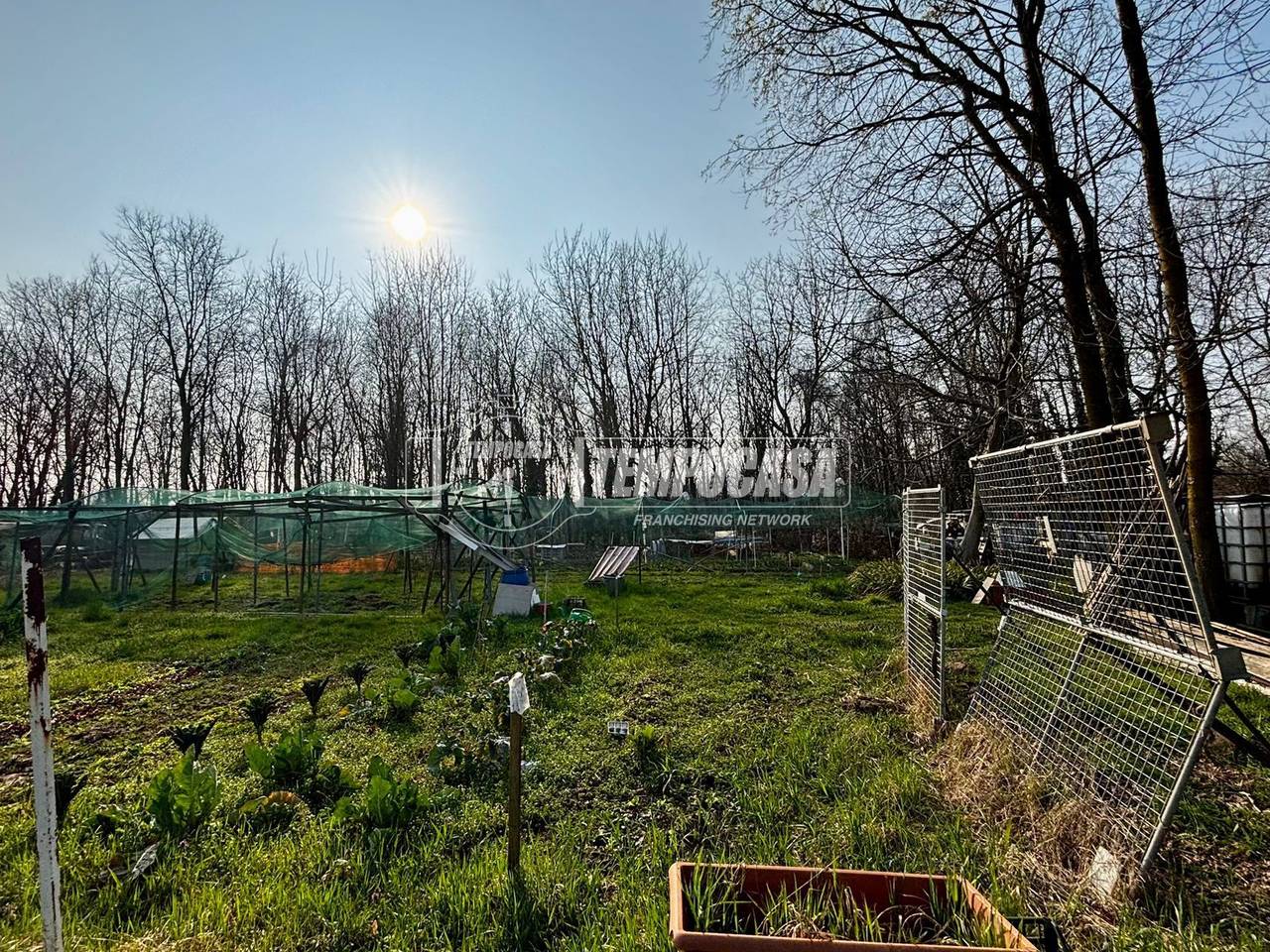 immagine annuncio 3 di 12