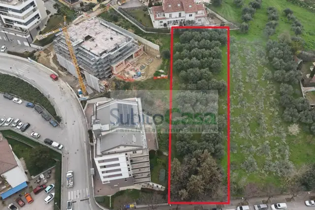 insertion image