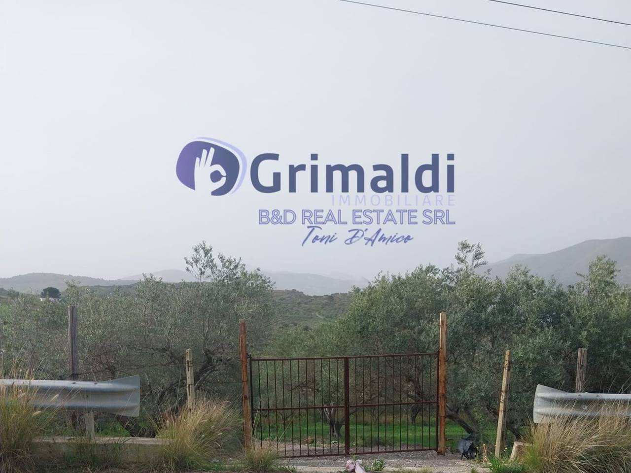 immagine annuncio 2 di 3