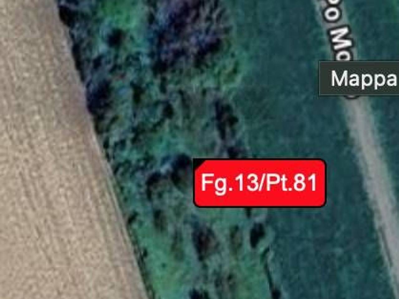 immagine annuncio 5 di 7