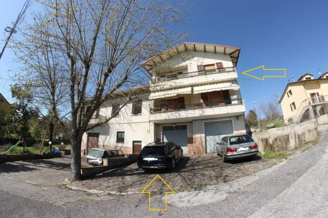 insertion image