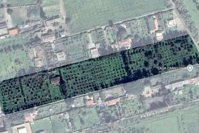 insertion image