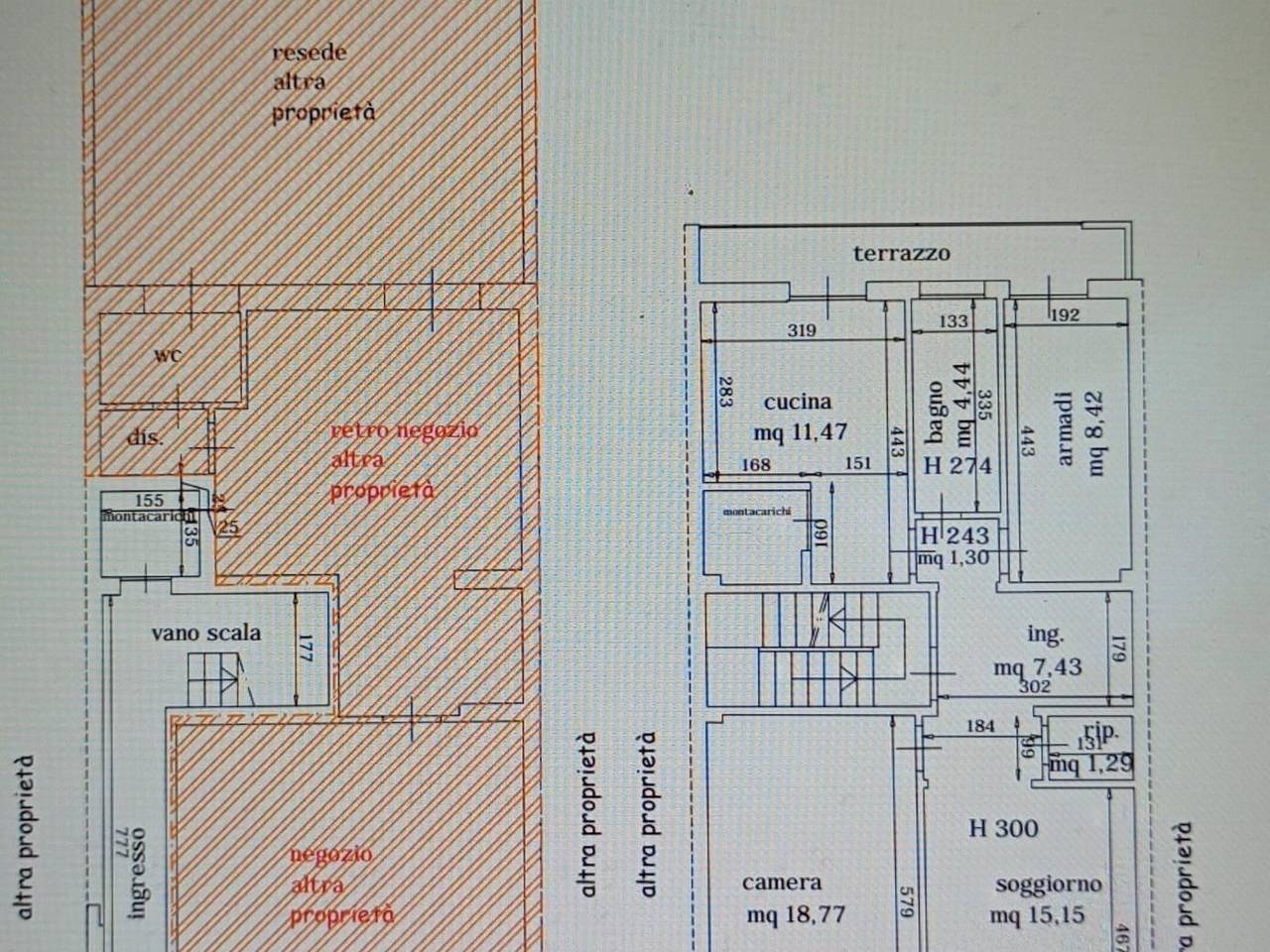 immagine annuncio 5 di 12