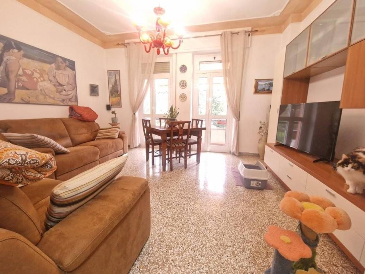 immagine annuncio 5 di 13